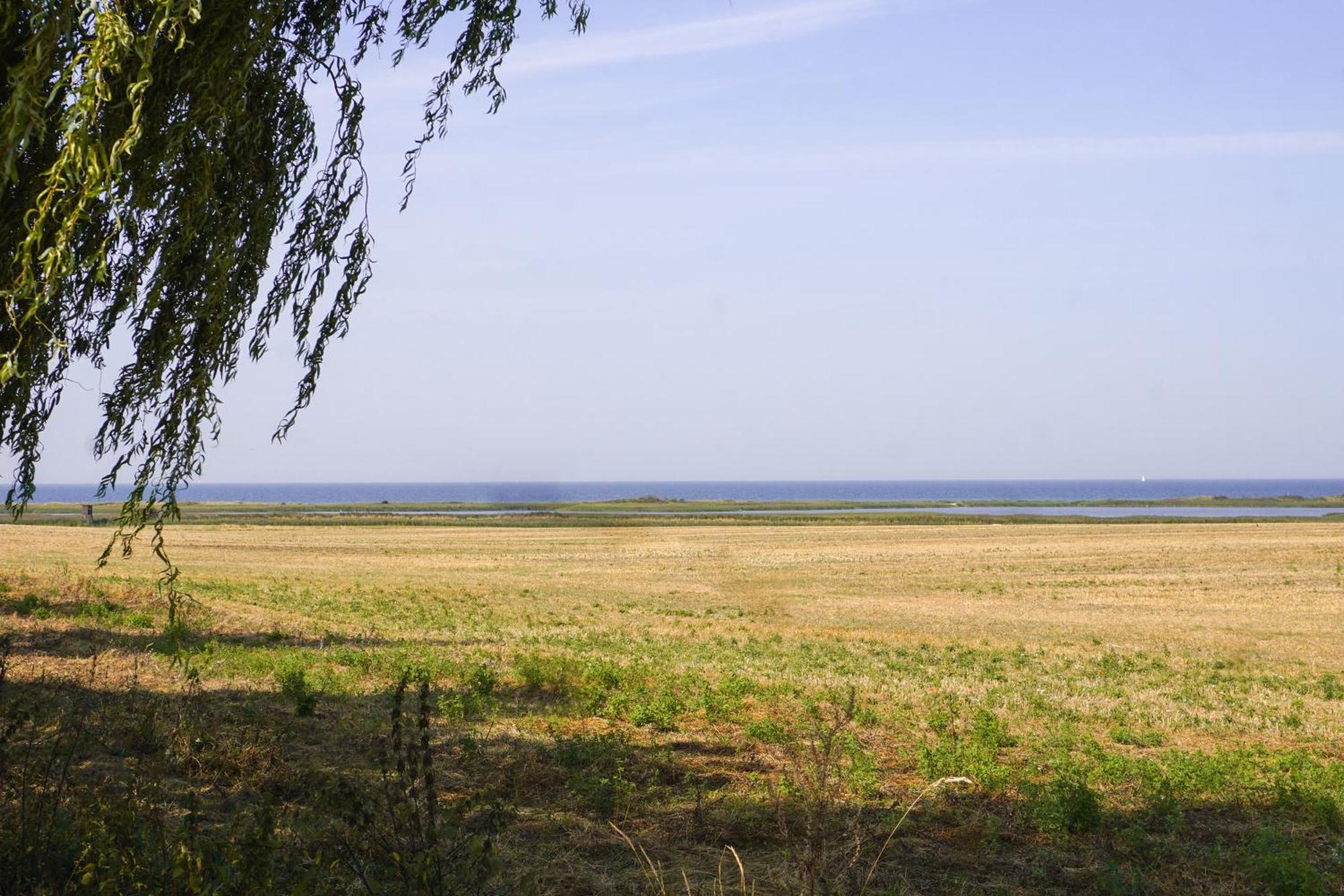 Duenenmeer Ferienwohnung Ostseebad Kühlungsborn 外观 照片